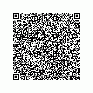 vCard 74958580291