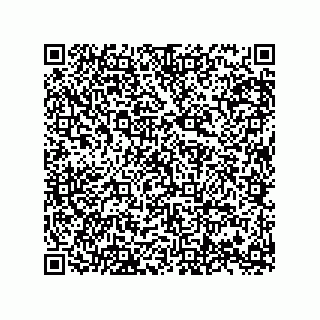 vCard 74958580297
