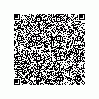 vCard 74958580298