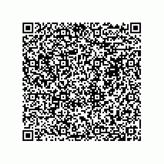 vCard 74958580299
