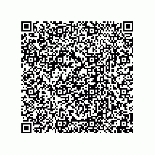 vCard 74958580307