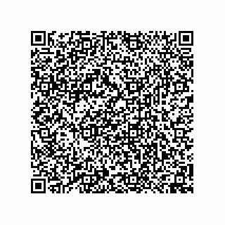 vCard 74958580310