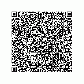 vCard 74958580311
