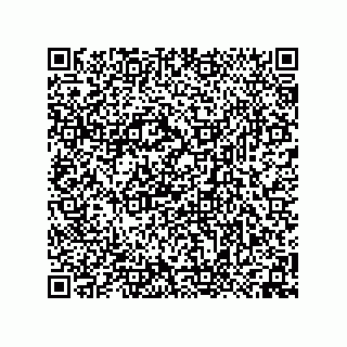 vCard 74958580313