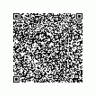 vCard 74958580315