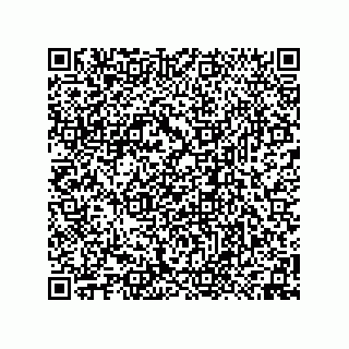 vCard 74958580316