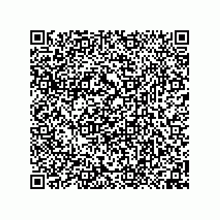 vCard 74958580317