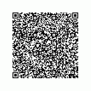 vCard 74958580319