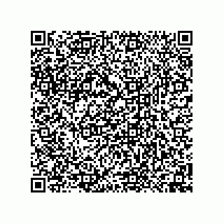 vCard 74958580321