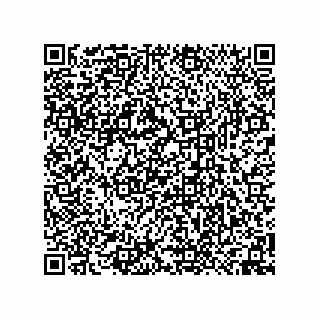vCard 74958580324