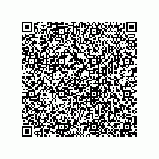 vCard 74958580331