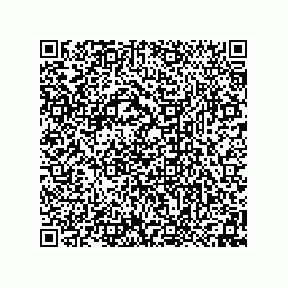 vCard 74958580333