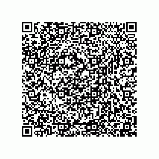 vCard 74958580348
