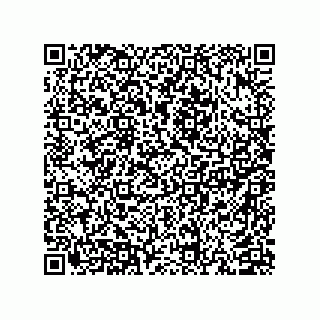 vCard 74958580350