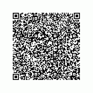 vCard 74958580351