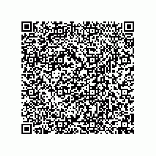 vCard 74958580352
