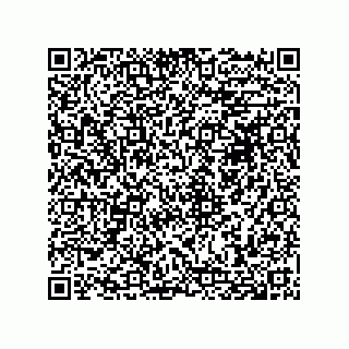 vCard 74958580353