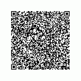 vCard 74958580370
