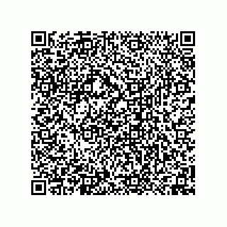vCard 74958580371