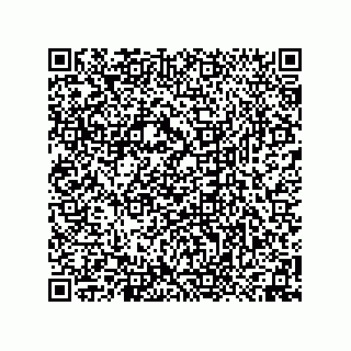 vCard 74958580373