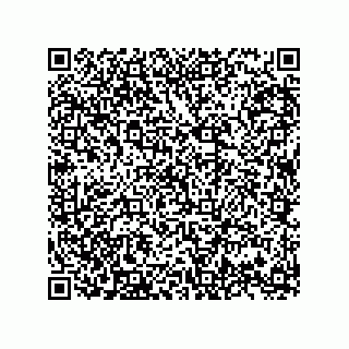 vCard 74958580374