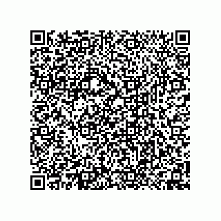 vCard 74958580376