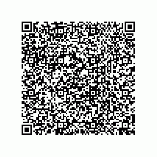 vCard 74958580378