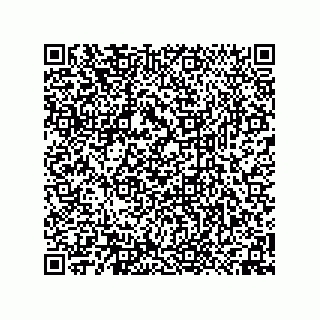 vCard 74958580379