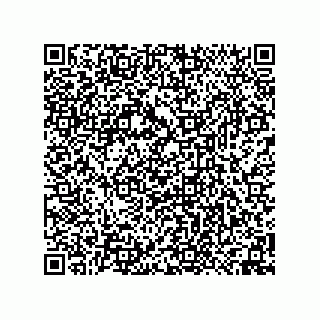 vCard 74958580380