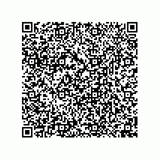vCard 74958580381