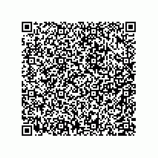 vCard 74958580382