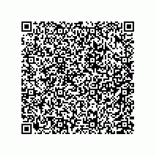 vCard 74958580383