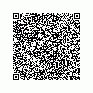 vCard 74958580384