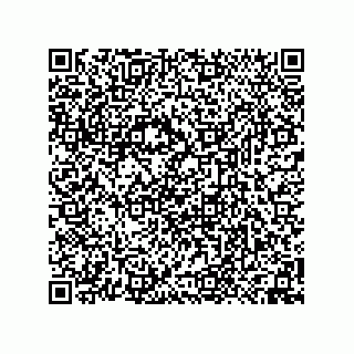 vCard 74958580385
