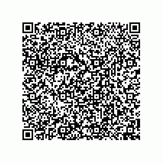 vCard 74958580386