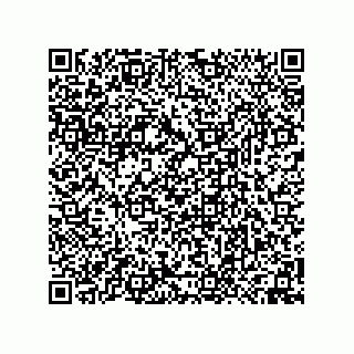 vCard 74958580387