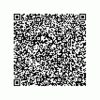 vCard 74958580388