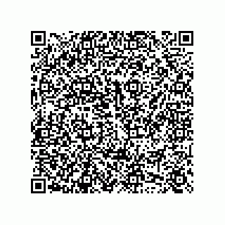 vCard 74958580389