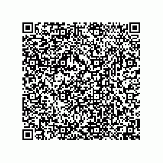 vCard 74958580390