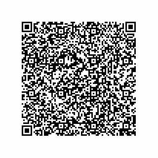 vCard 74958580392