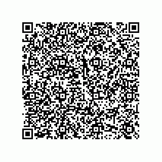 vCard 74958580393