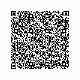 vCard 74958580395