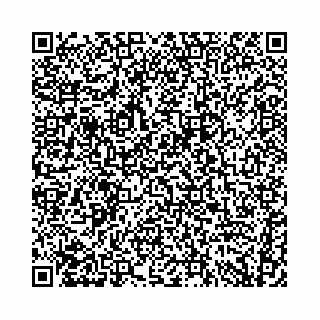 vCard 74958700087