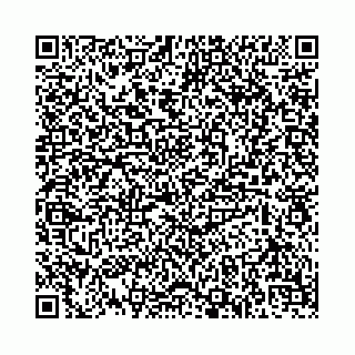 vCard 74958780011