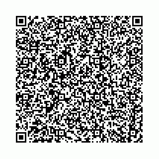 vCard 74958780013