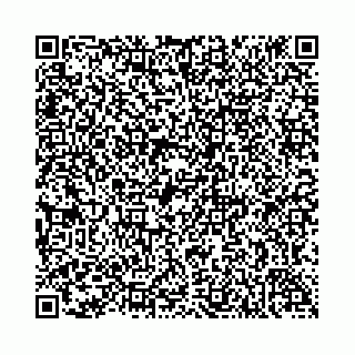 vCard 74958780019