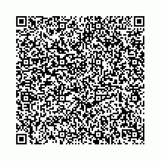 vCard 74958780020
