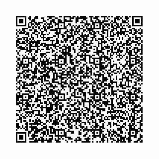 vCard 74958780021