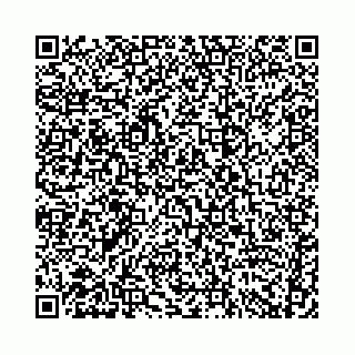 vCard 74958780022