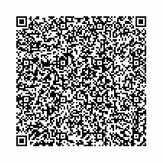 vCard 74958780033